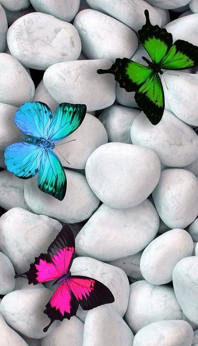 Hình nền điện thoại 3D cực chất