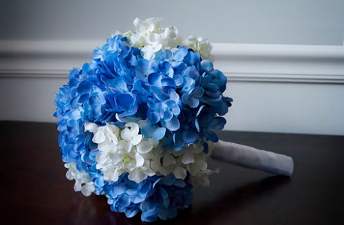 Hoa cưới cẩm tú cầu