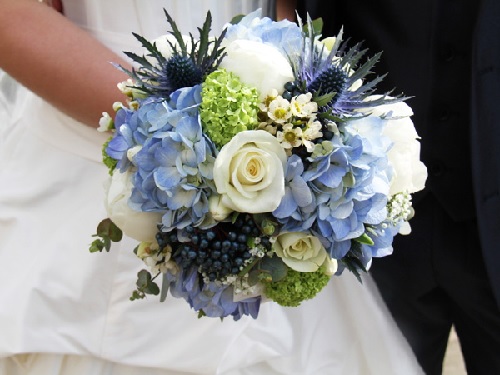 Hoa cưới cẩm tú cầu