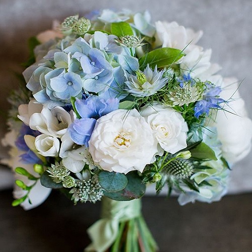 Hoa cưới cẩm tú cầu