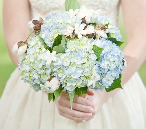 Hoa cưới cẩm tú cầu