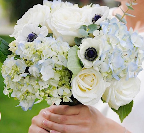 Hoa cưới cẩm tú cầu