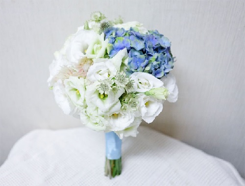 Hoa cưới cẩm tú cầu