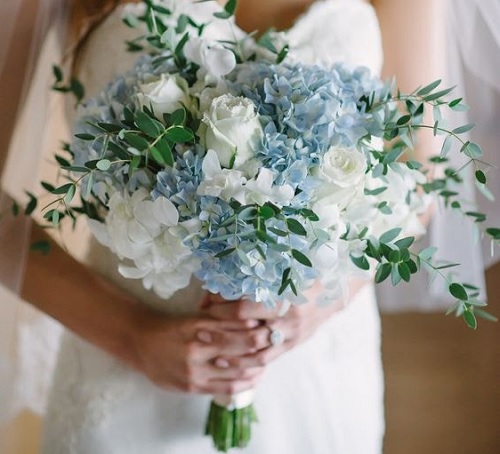 Hoa cưới cẩm tú cầu