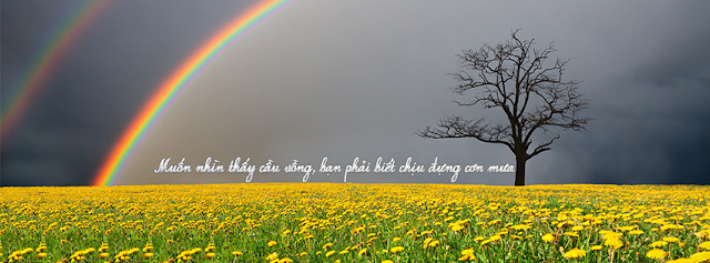 Hình ảnh cầu vồng ý nghĩa 3 Hình ảnh cầu vồng ý nghĩa 3