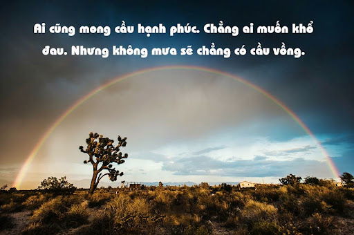 Hình ảnh cầu vồng ý nghĩa 1 Hình ảnh cầu vồng ý nghĩa 1