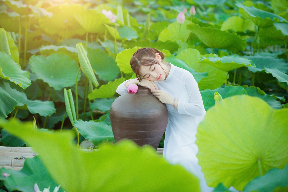 Chụp sen đẹp, nghệ thuật