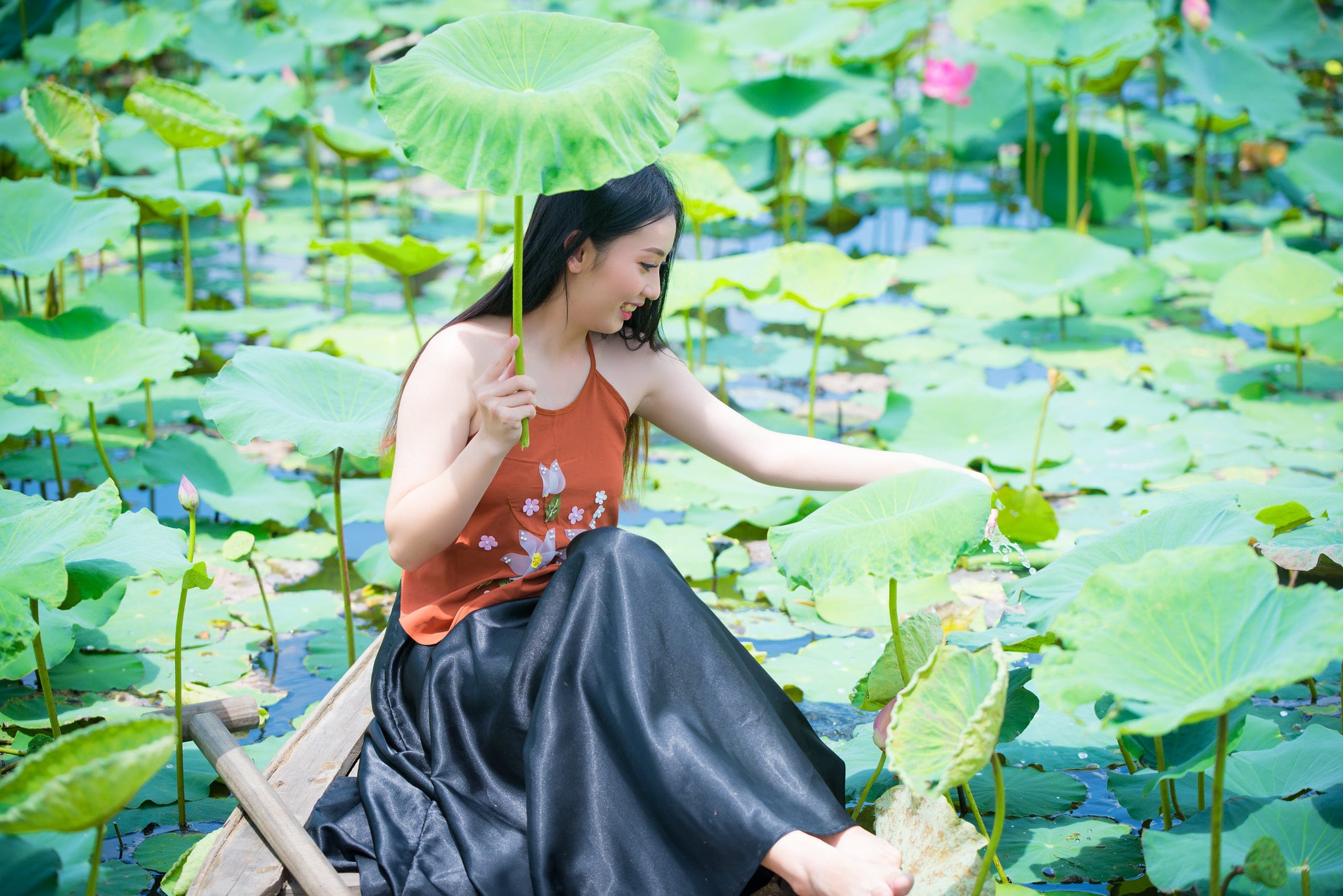 Chụp ảnh hoa sen đẹp