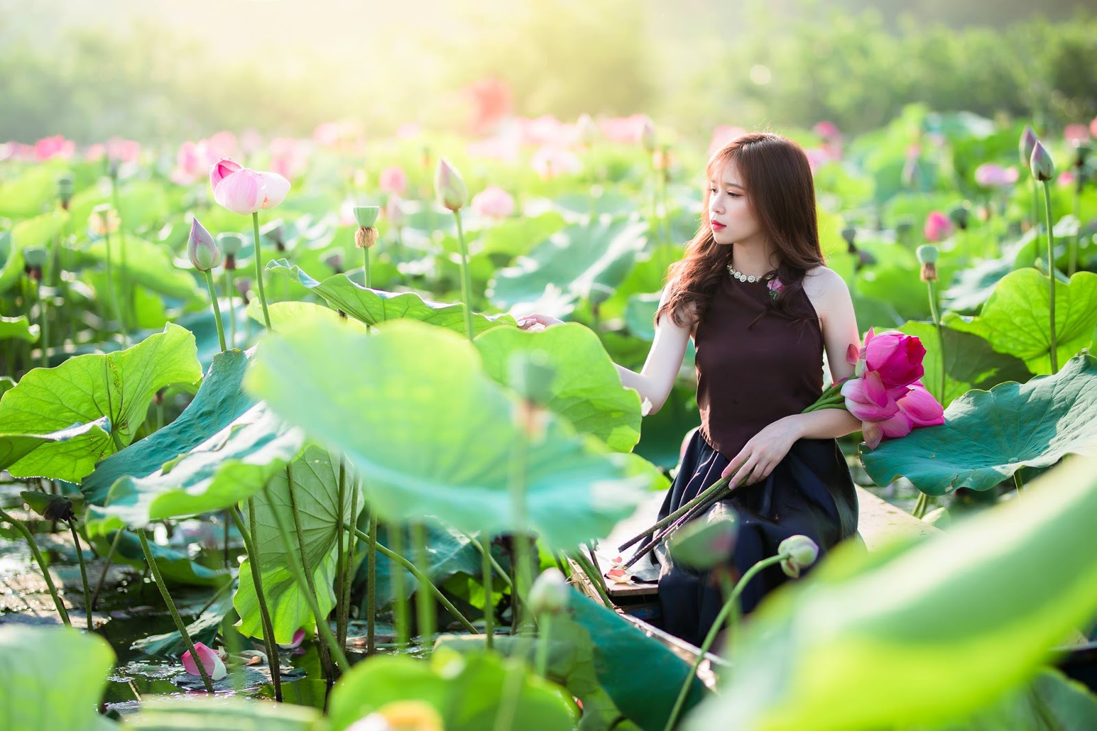 Cách tạo dáng chụp ảnh với hoa sen