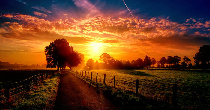 Hình ảnh đón bình minh, ảnh bình minh trên cánh đồng 5 Hình ảnh đón bình minh, ảnh bình minh trên cánh đồng 5