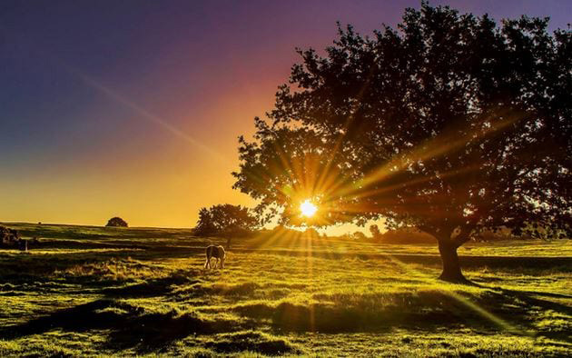 Hình ảnh bình minh đẹp 4 Hình ảnh bình minh đẹp 4