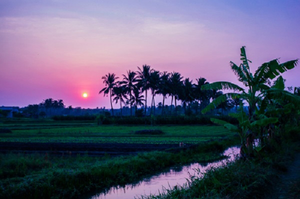 Hình ảnh đón bình minh, ảnh bình minh trên cánh đồng 1 Hình ảnh đón bình minh, ảnh bình minh trên cánh đồng 1