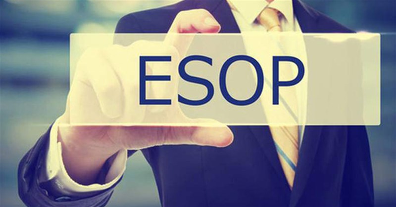 Cổ phiếu ESOP là gì, có được chia cổ tức không?