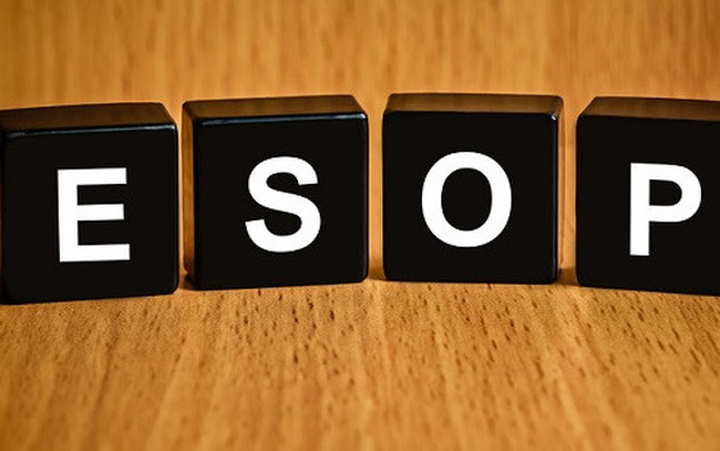 Tìm hiểu có nên mua cổ phiếu ESOP không