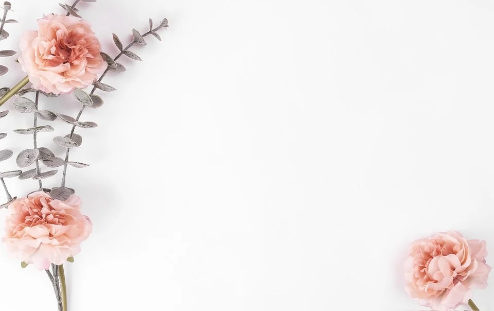 Background nền trắng đẹp, sang trọng