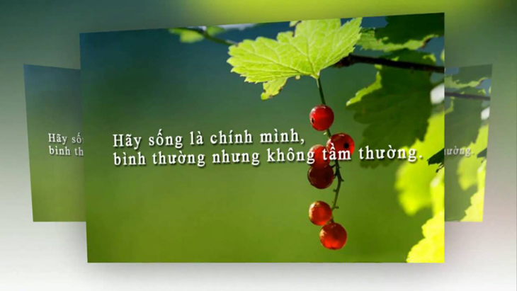 Những câu châm ngôn danh ngôn về cuộc sống chất ngắn gọn, hay, ý nghĩa