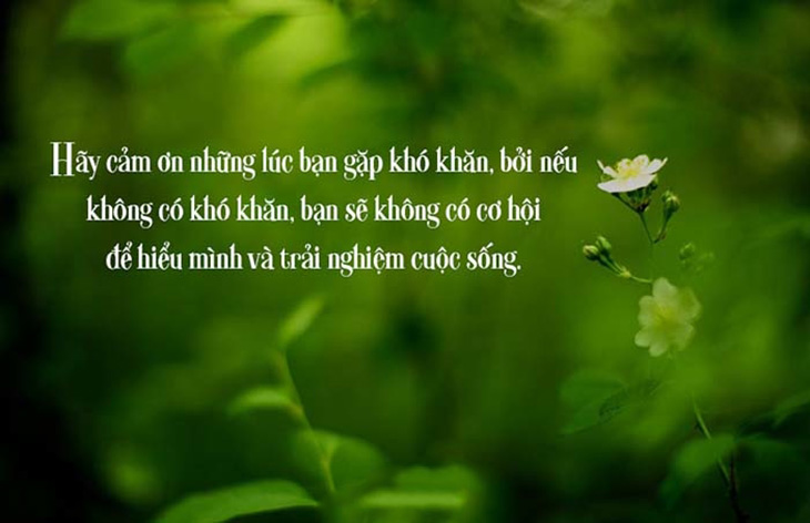 Những câu châm ngôn danh ngôn về cuộc sống chất ngắn gọn, hay, ý nghĩa