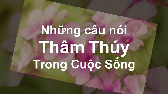 Tổng hợp những câu nói hay về nhân cách sống con người