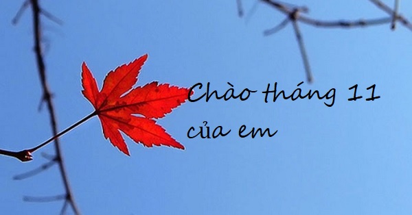 Hình ảnh chào tháng 11
