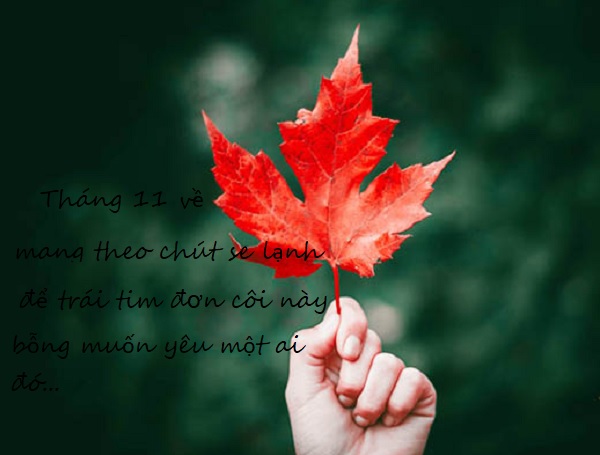 Hình ảnh chào tháng 11