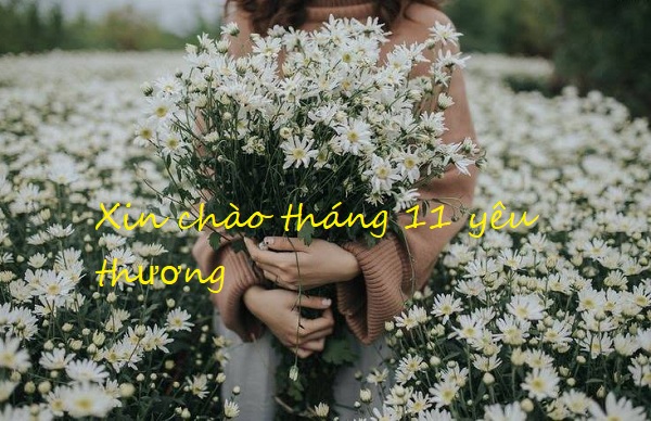 Hình ảnh chào tháng 11