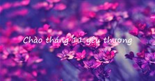 Stt hay chào tháng 11 yêu thương, hình ảnh chào tháng 11 đẹp