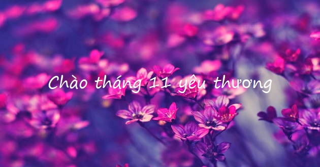 Stt chào tháng 11