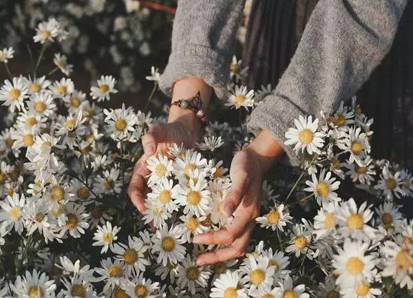 Stt về cô gái tháng 11 Stt về cô gái tháng 11