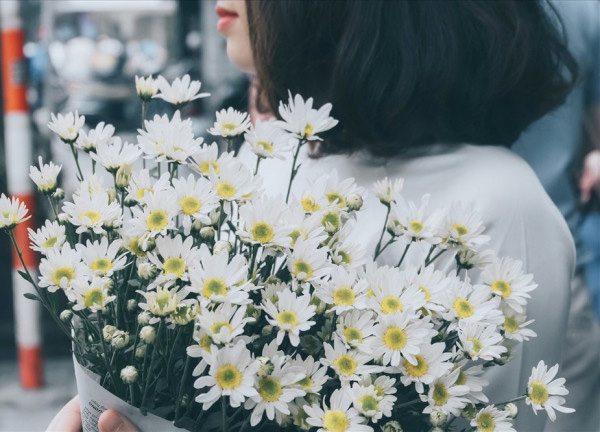 Ảnh cúc hoa mi buồn, tâm trạng 6 Ảnh cúc hoa mi buồn, tâm trạng 6