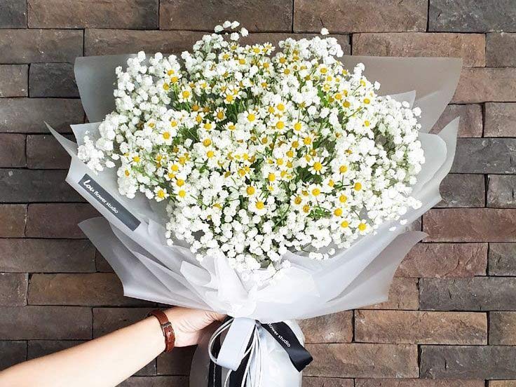 Bó cúc họa mi đẹp  Bó cúc họa mi đẹp