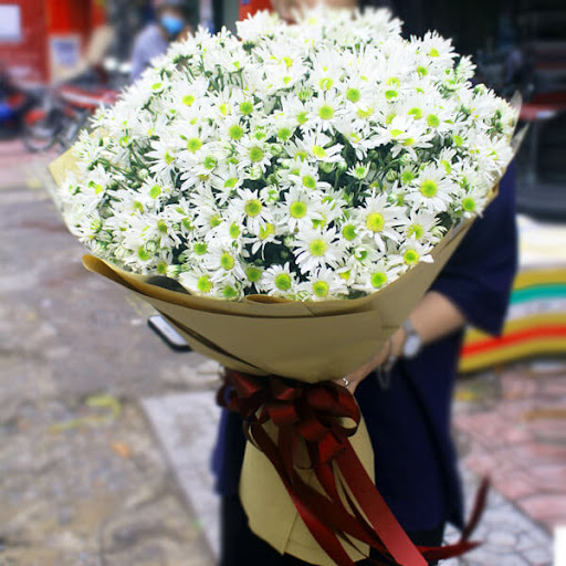 Bó cúc họa mi đẹp 2 Bó cúc họa mi đẹp 2