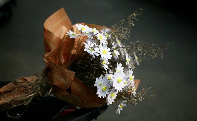 Bó cúc họa mi đẹp 7 Bó cúc họa mi đẹp 7