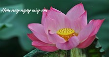 Hôm nay ngày mấy âm? Âm lịch hôm nay là ngày bao nhiêu?