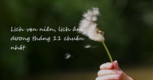 Lịch vạn niên, lịch âm dương tháng 11 chuẩn nhất