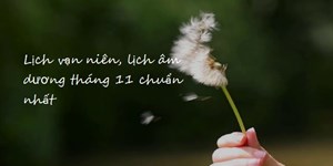 Lịch vạn niên, lịch âm dương tháng 11 chuẩn nhất