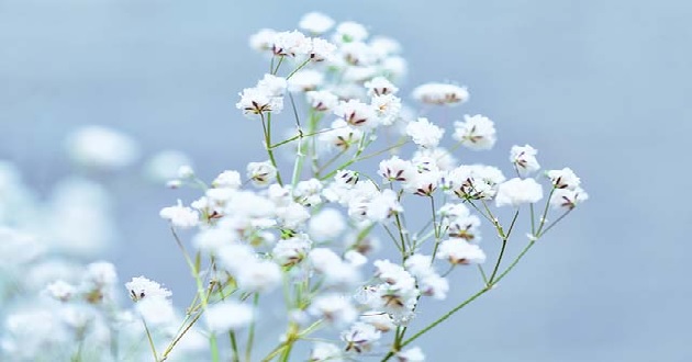 Tháng 11 có bao nhiêu ngày Tháng 11 có bao nhiêu ngày