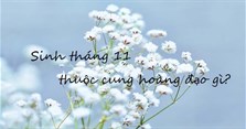 Sinh tháng 11 là cung hoàng đạo gì, thuộc mệnh gì?