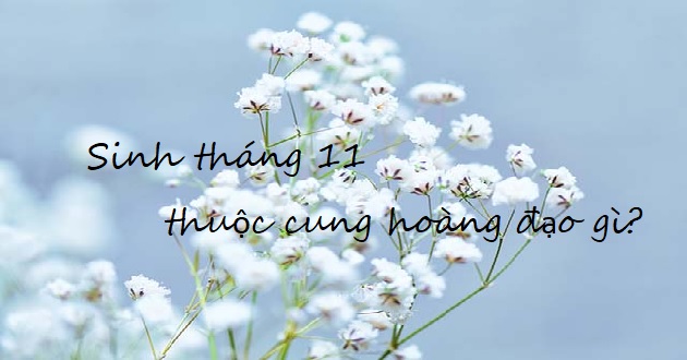 Tháng 11 thuộc cung hoàng đạo gì