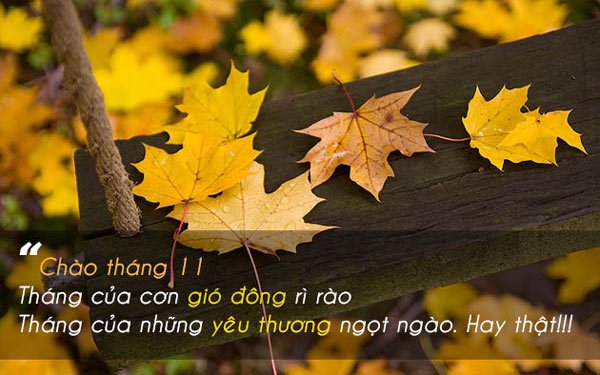 Thơ về tháng 11 hay, thơ chào tháng 11