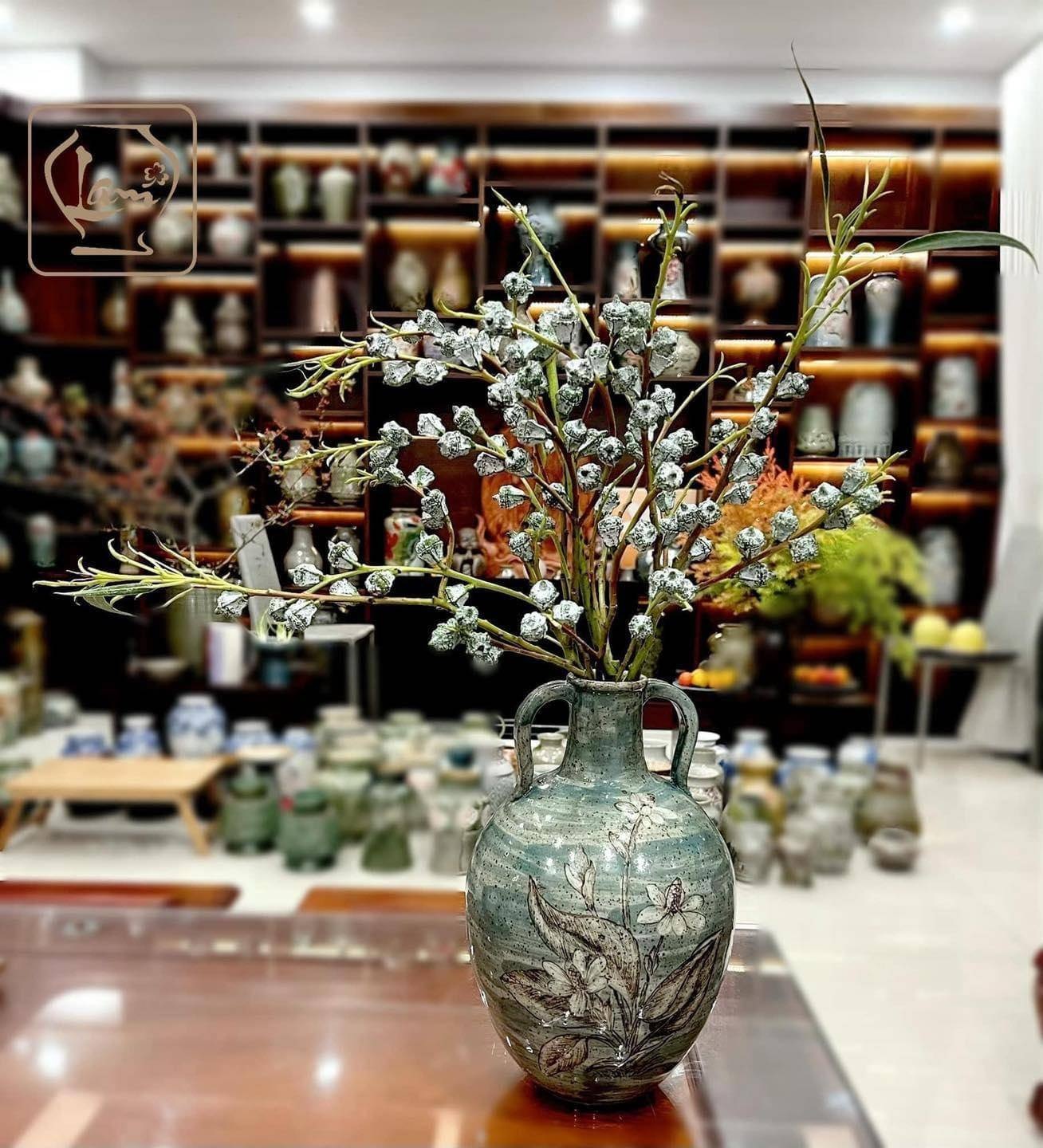 Hoa ô mai- Hoa bạch đàn