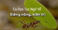 Những câu ca dao tục ngữ nói về tính siêng năng kiên trì