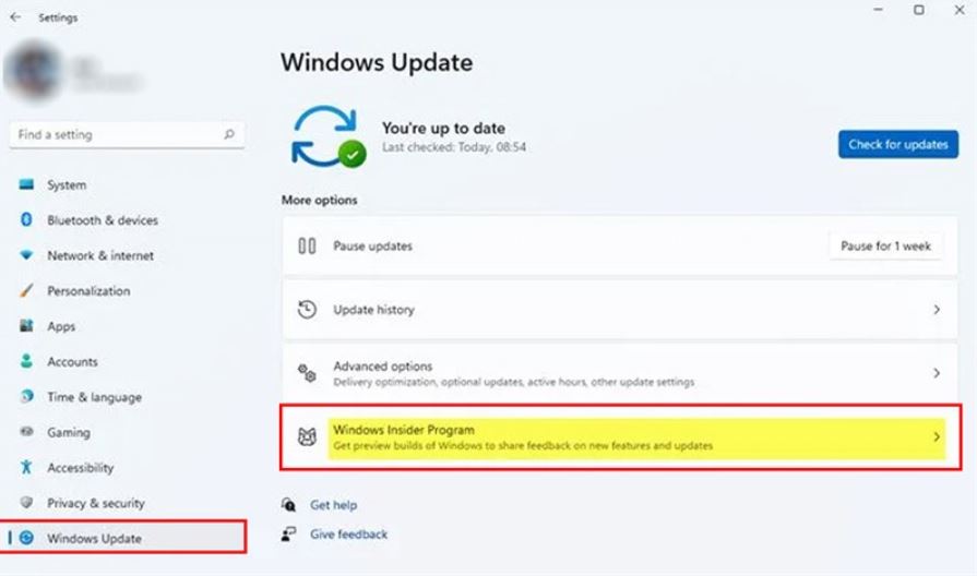 Cách update Win 11 chính thức bằng Windows 11 Insider