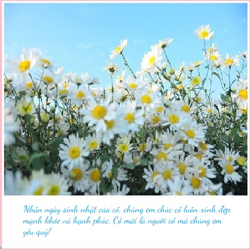 Thiệp chúc mừng sinh nhật cô