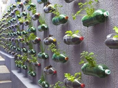 Cách trồng rau thủy canh tại nhà bằng chai nhựa đơn giản