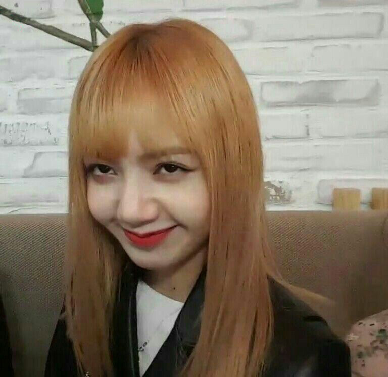 Ảnh dìm Lisa Blackpink 5