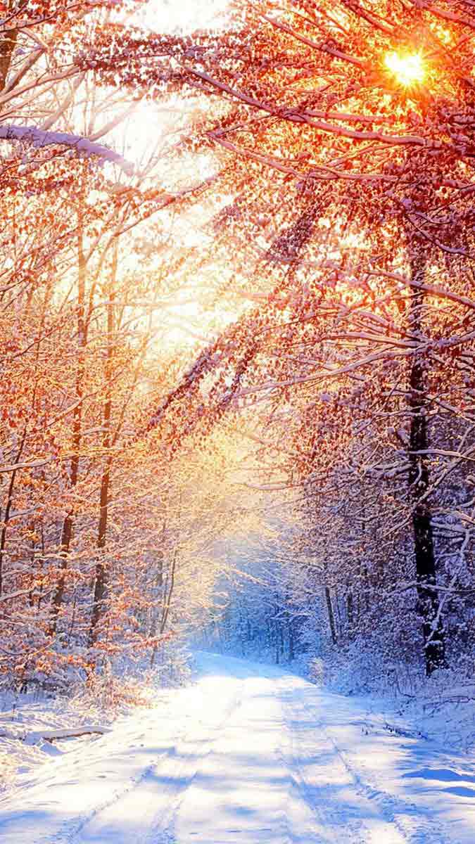 Hình nền tuyết rơi 4