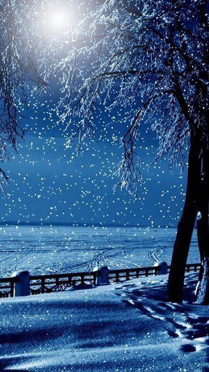 Hình nền tuyết rơi 5