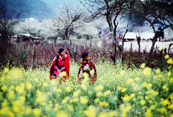 Hình ảnh mùa đông miền Bắc Hình ảnh mùa đông miền Bắc