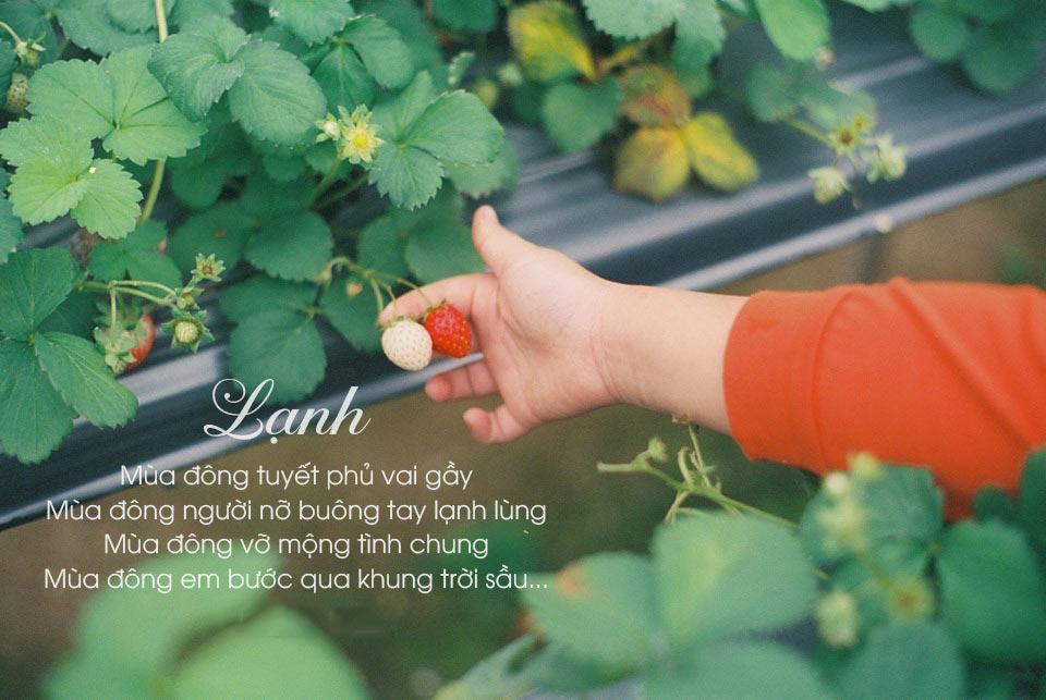 Thơ lục bát hay về mùa đông Thơ lục bát hay về mùa đông