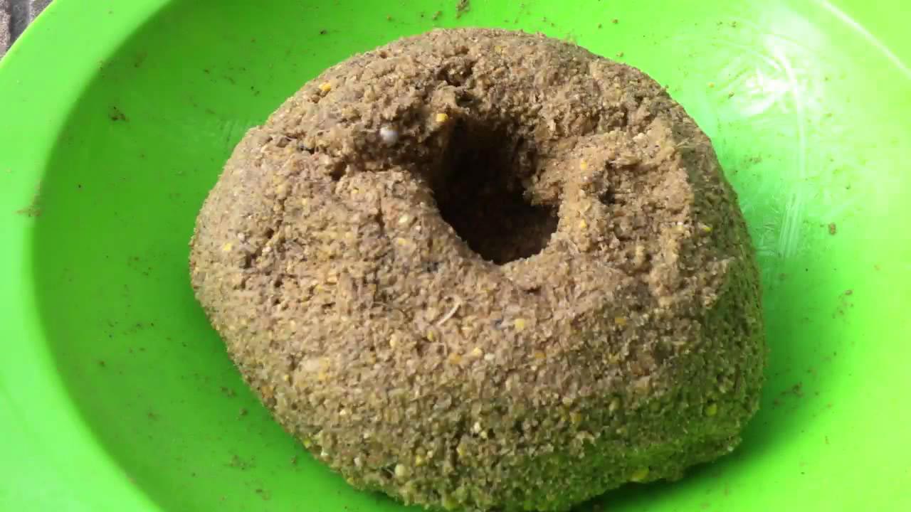 Cách làm mồi câu cá chép hiệu quả nhất